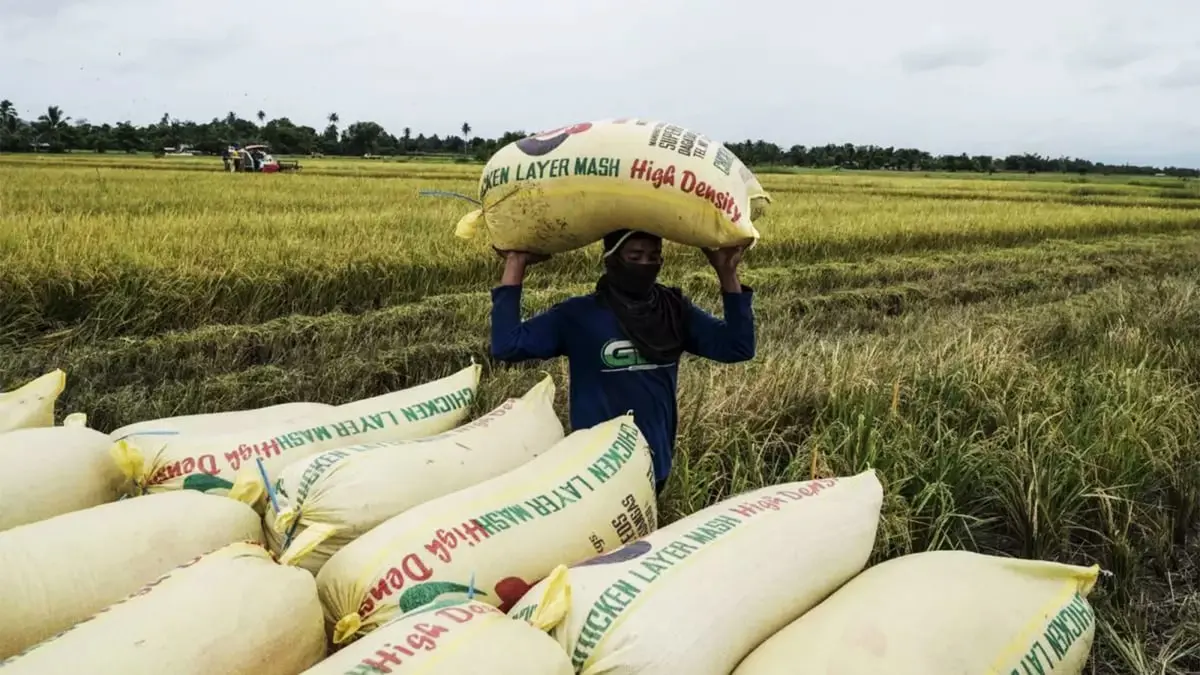 الحرب في أوكرانيا تنعش صادرات أمريكا اللاتينية