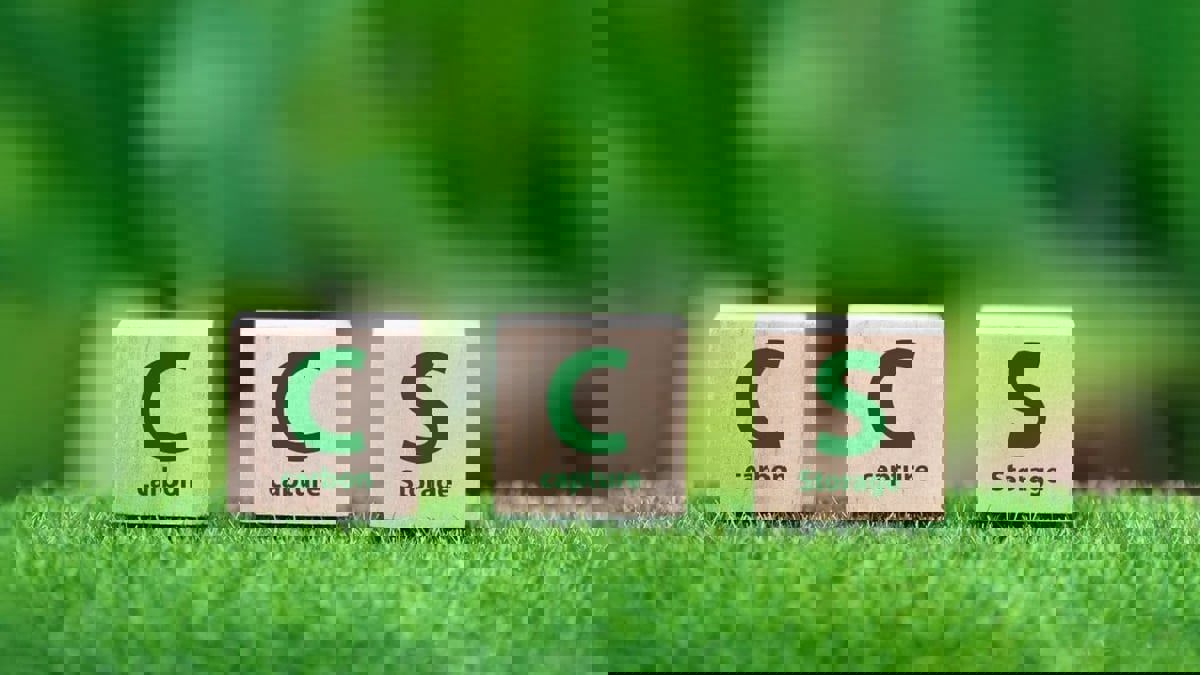 احتجاز الكربون.. كيف يكافح التغير المناخي‎؟