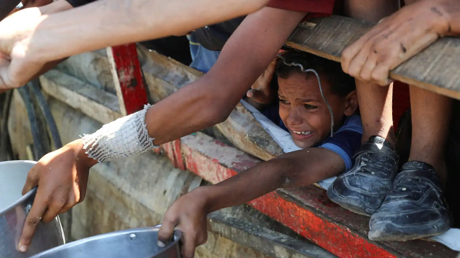 ارتفاع عدد ضحايا الجوع في غزة إلى 263 بينهم 112 طفلاً