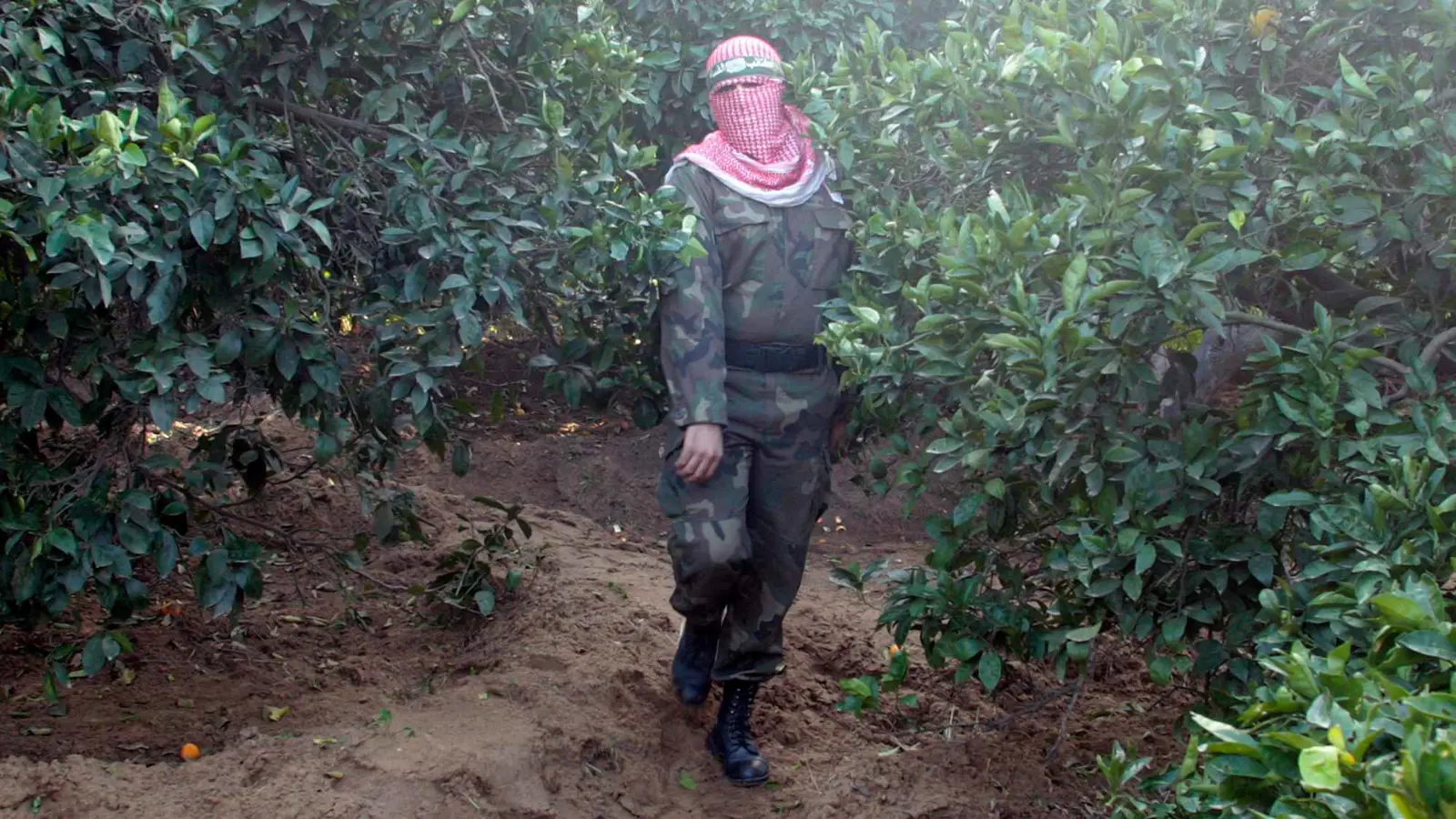 بعد عملية بروقين.. هل نفت حماس "ضمنياً" اغتيال أبو عبيدة مع السنوار؟