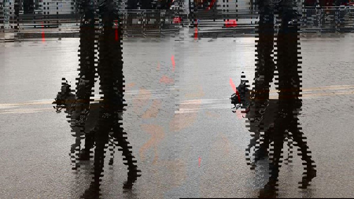 تقرير: الشرطة التركية تستخدم الكلاب لتعذيب موقوفين في ديار بكر (صورة)