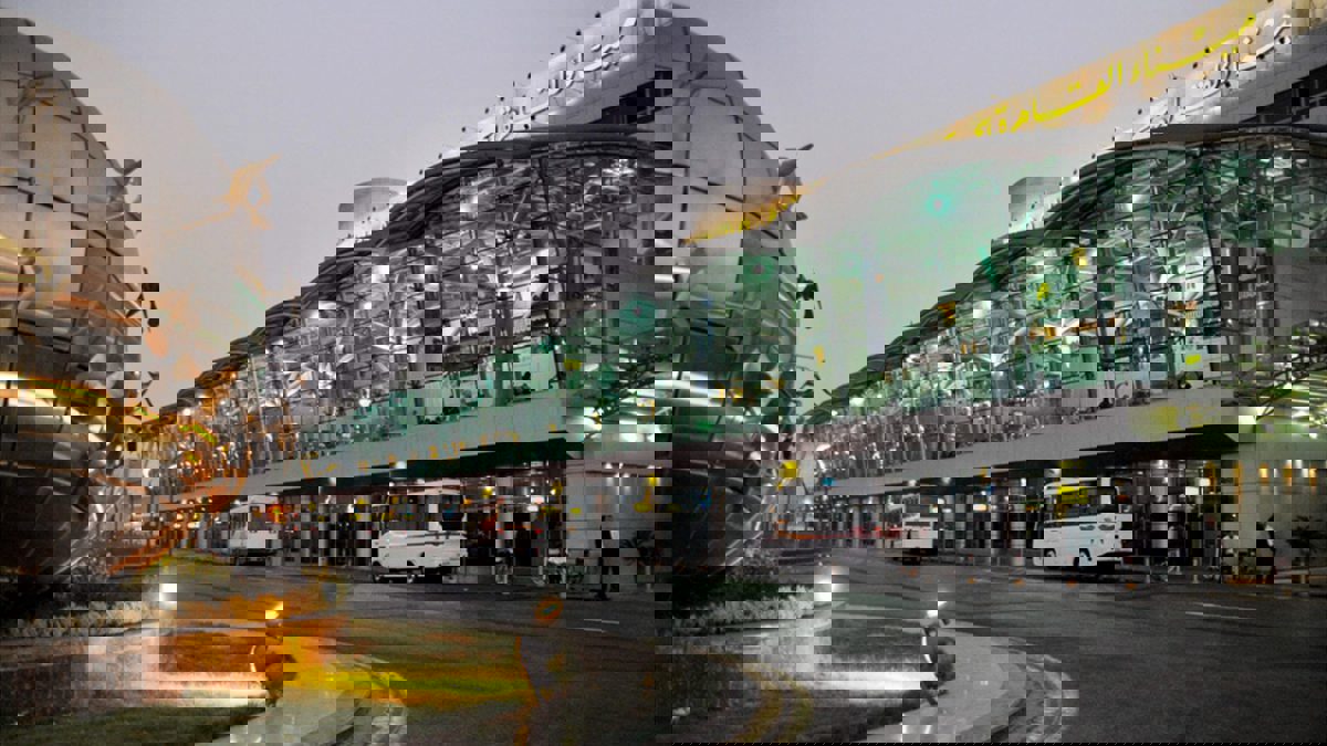 إحباط محاولة تهريب 295 كيلو من "القات" في مطار القاهرة