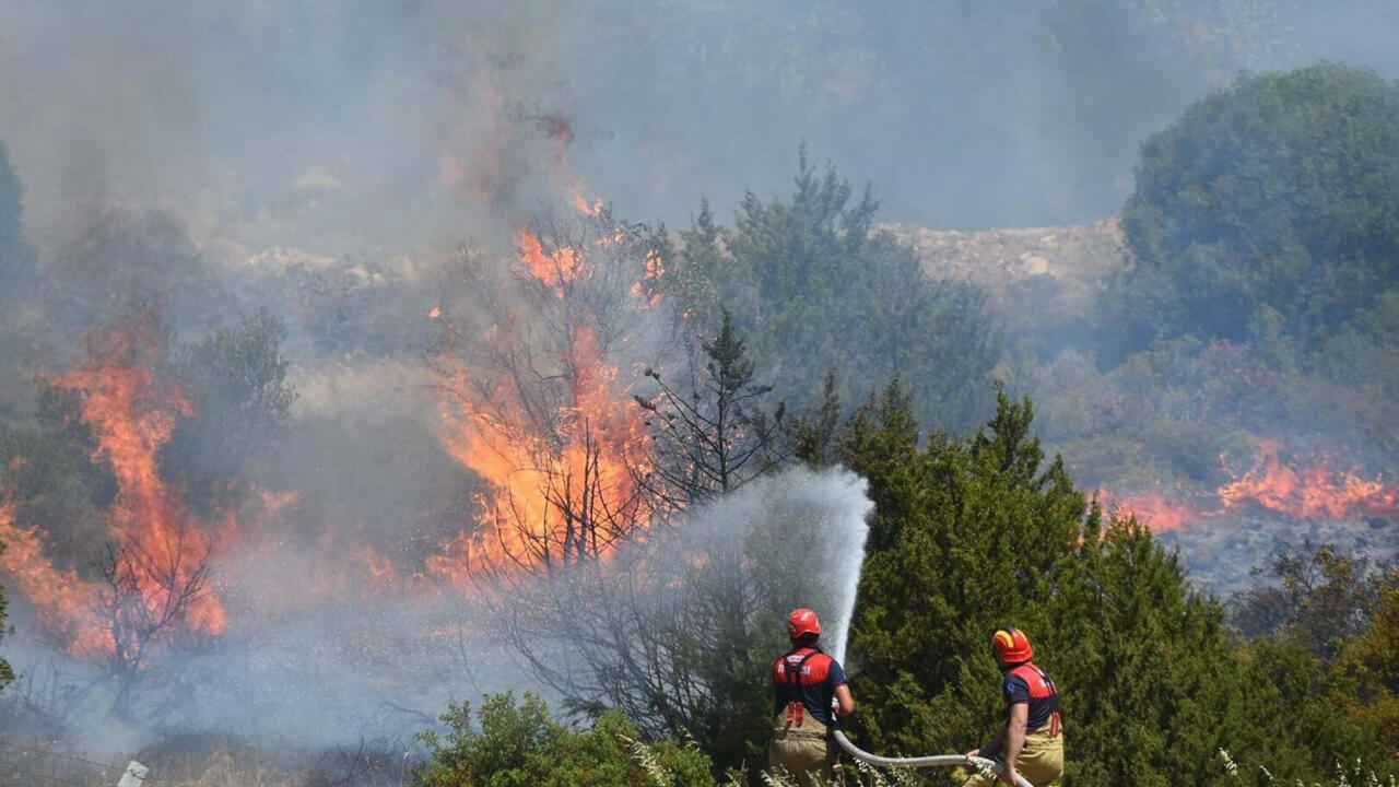 إسطنبول تحظر الألعاب النارية لتجنب حرائق الغابات