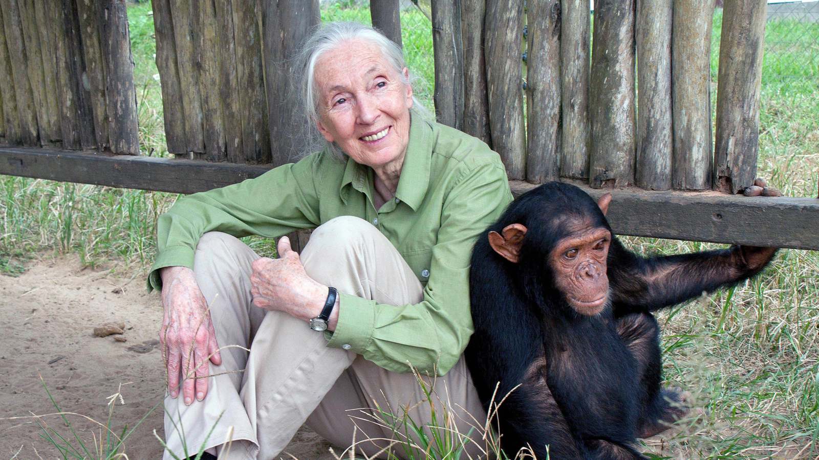 جين غودال تحتفل بعيد ميلادها الـ91 برسالة أمل "بيئية" (فيديو)