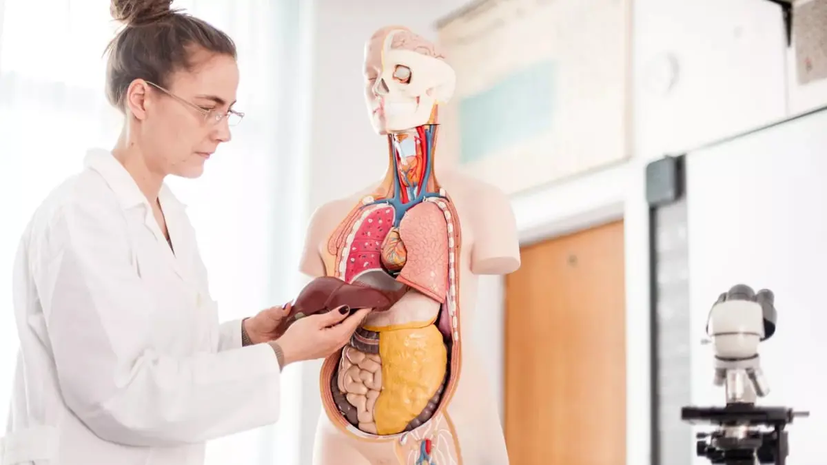  5 علامات تنذر بوجود مشكلات في الكبد