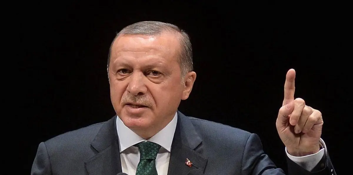 أردوغان: تركيا ستعيد هيكلة صندوقها السيادي بعد إقالة رئيسه
