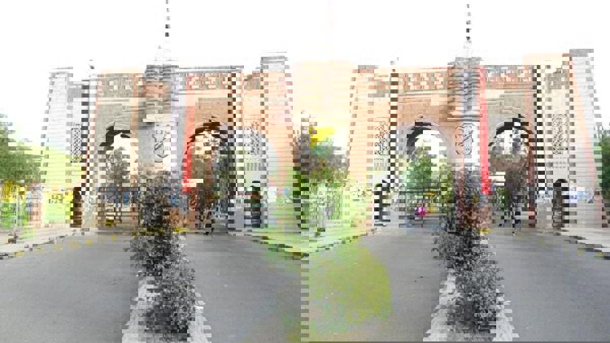 حملة إلكترونية تكشف العشرات من شهادات الدكتوراه المزيفة في اليمن