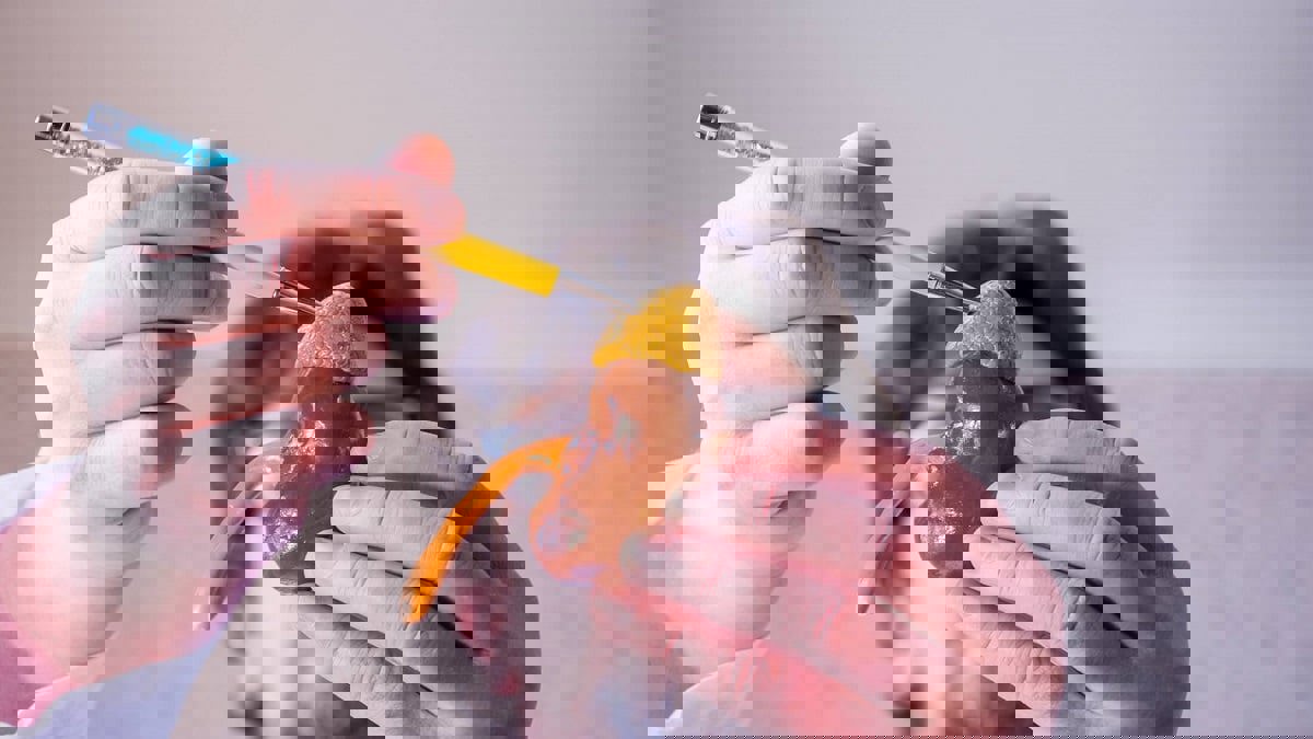 لصحة الغدة الكظرية .. دعوة لتناول الحبوب الكاملة والعرقسوس