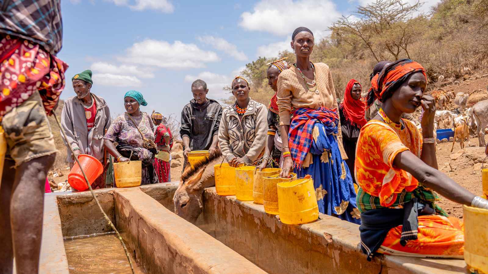 كيف ستتأثر القارة السمراء بقرار ترامب "الصادم"؟