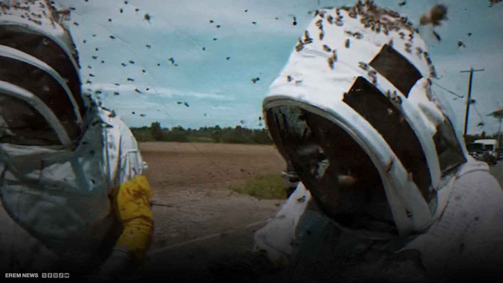 "لا يُصدق".. ربع مليار نحلة في سماء واشنطن (فيديو إرم)