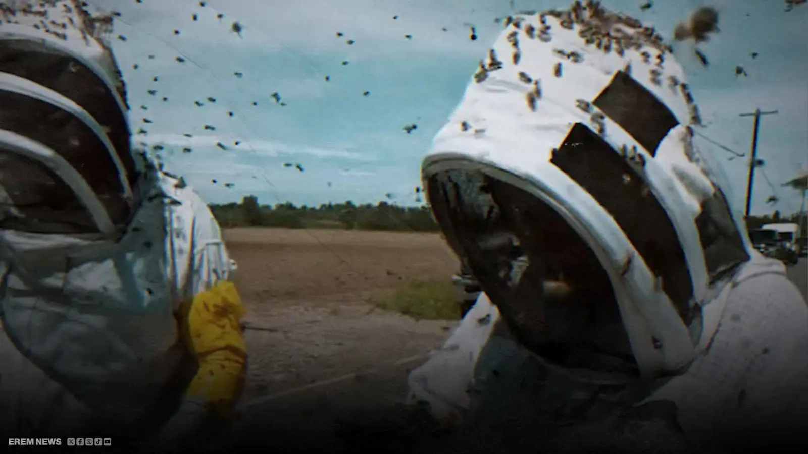 "لا يُصدق".. ربع مليار نحلة في سماء واشنطن (فيديو إرم)