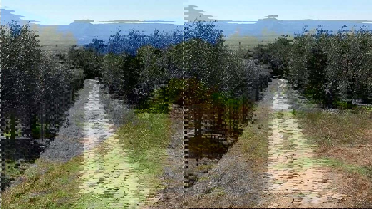 تعرف على أفضل طرق العالم لتجربة قيادة سيارات ممتعة