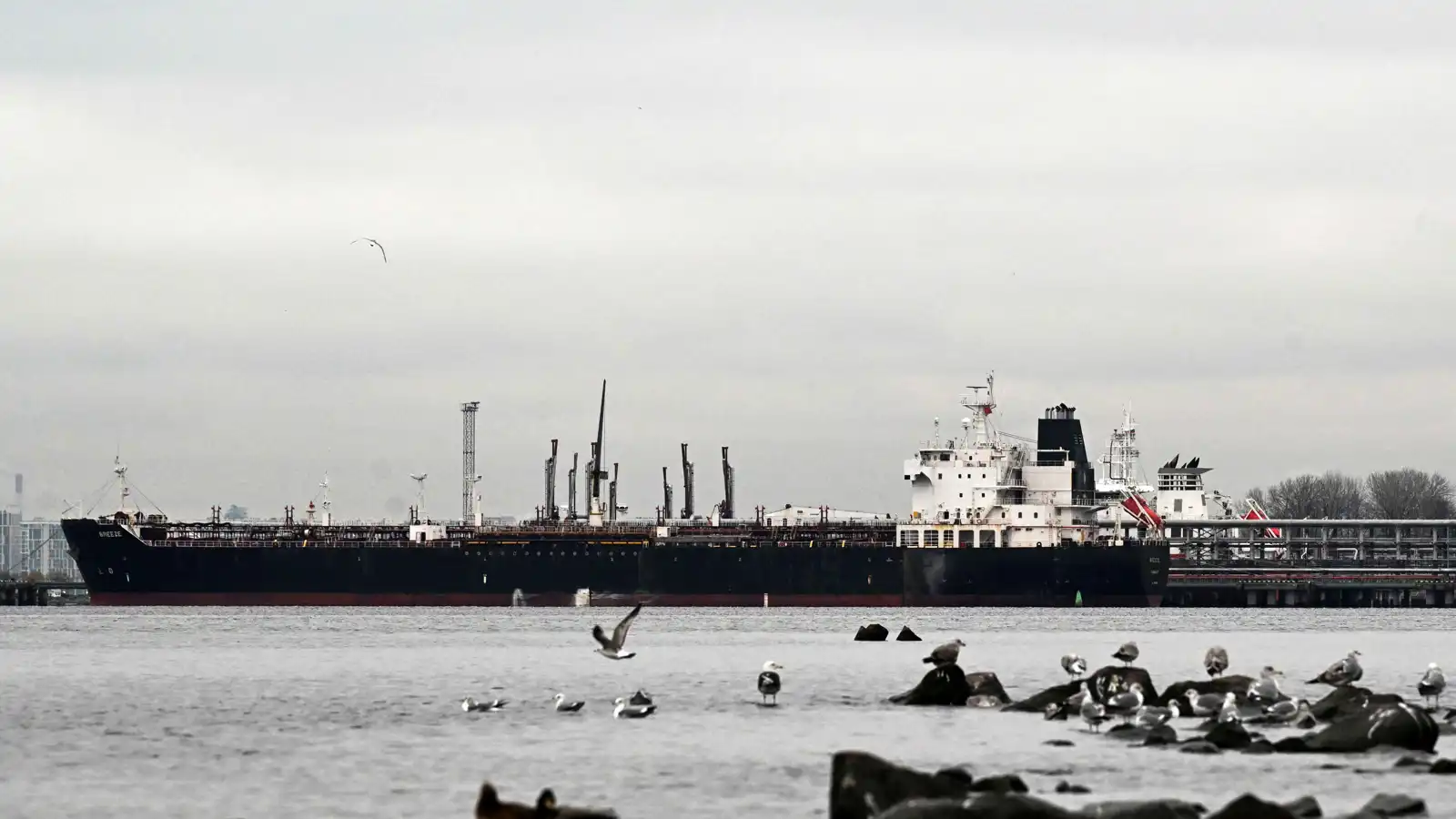 بلغاريا تُجلي طاقم ناقلة نفط يشتبه بانتمائها لـ "أسطول الظل" الروسي