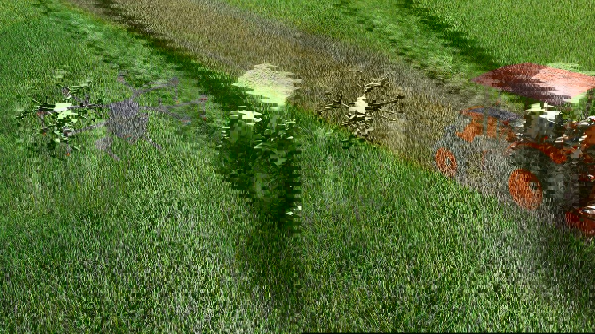 دراسة تحذر من مخاطر استخدام الذكاء الاصطناعي في الزراعة