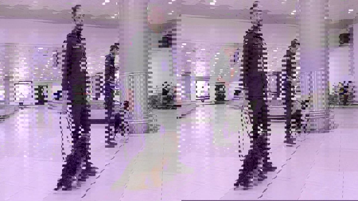 الكويت.. ضبط سماعات غش في طرود بريدية قادمة من الصين (صورة)