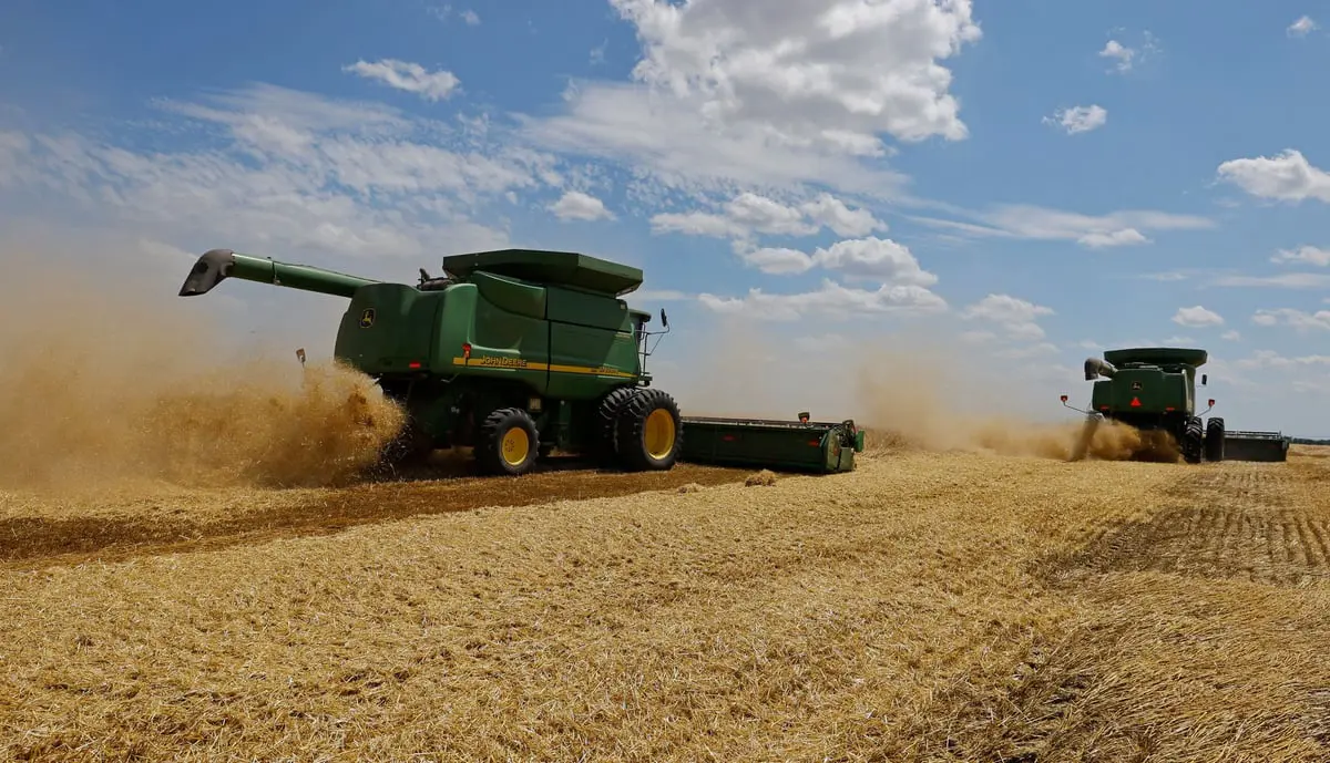 هل خسرت فرنسا أسواق الحبوب بشمال أفريقيا لصالح روسيا؟