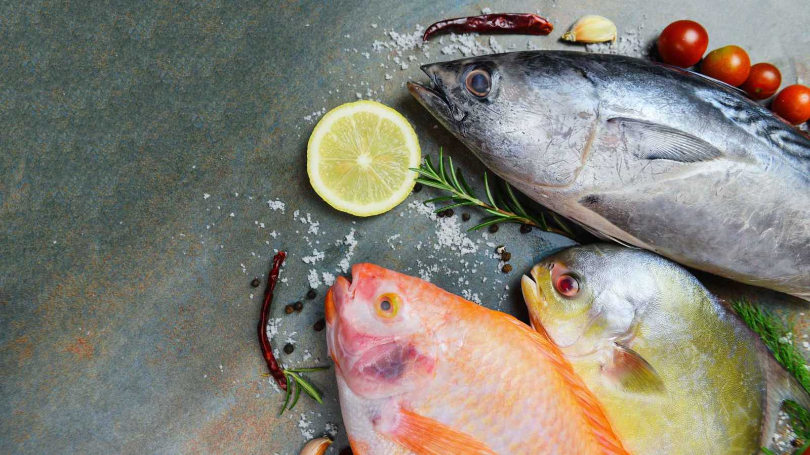 أنواع من السمك تمنحك الحيوية وتقاوم التعب في الصيف