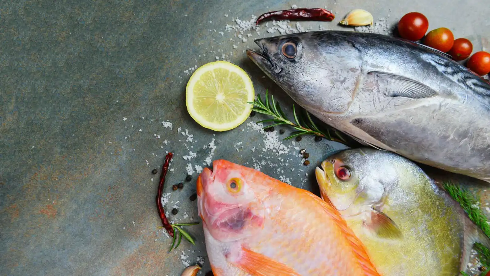 أنواع من السمك تمنحك الحيوية وتقاوم التعب في الصيف