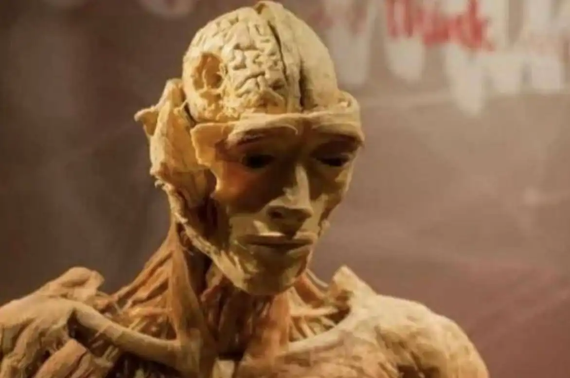 الجثة المعروضة في المتحف