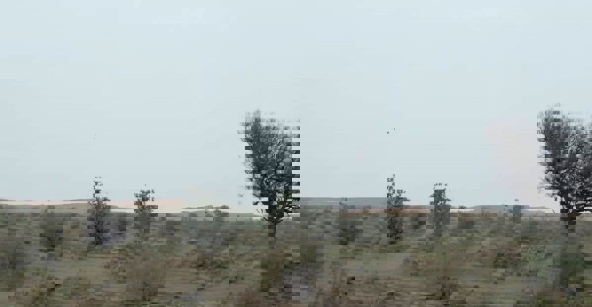 ضبط سعودي يرعى عشرات الإبل داخل "محمية ملكية" (صورة)