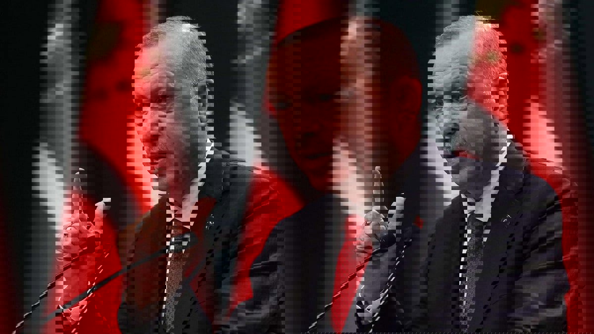 في ذكرى الإعلان العالمي لحقوق الإنسان.. 800 شخصية تشن هجوما حادا ضد سياسات أردوغان