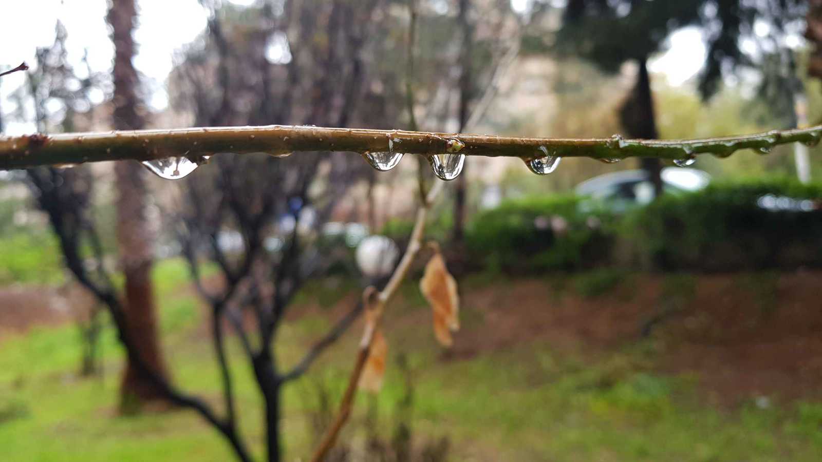 بعد الجفاف المرهق.. بلاد الشام تستعد لعاصفة مطرية