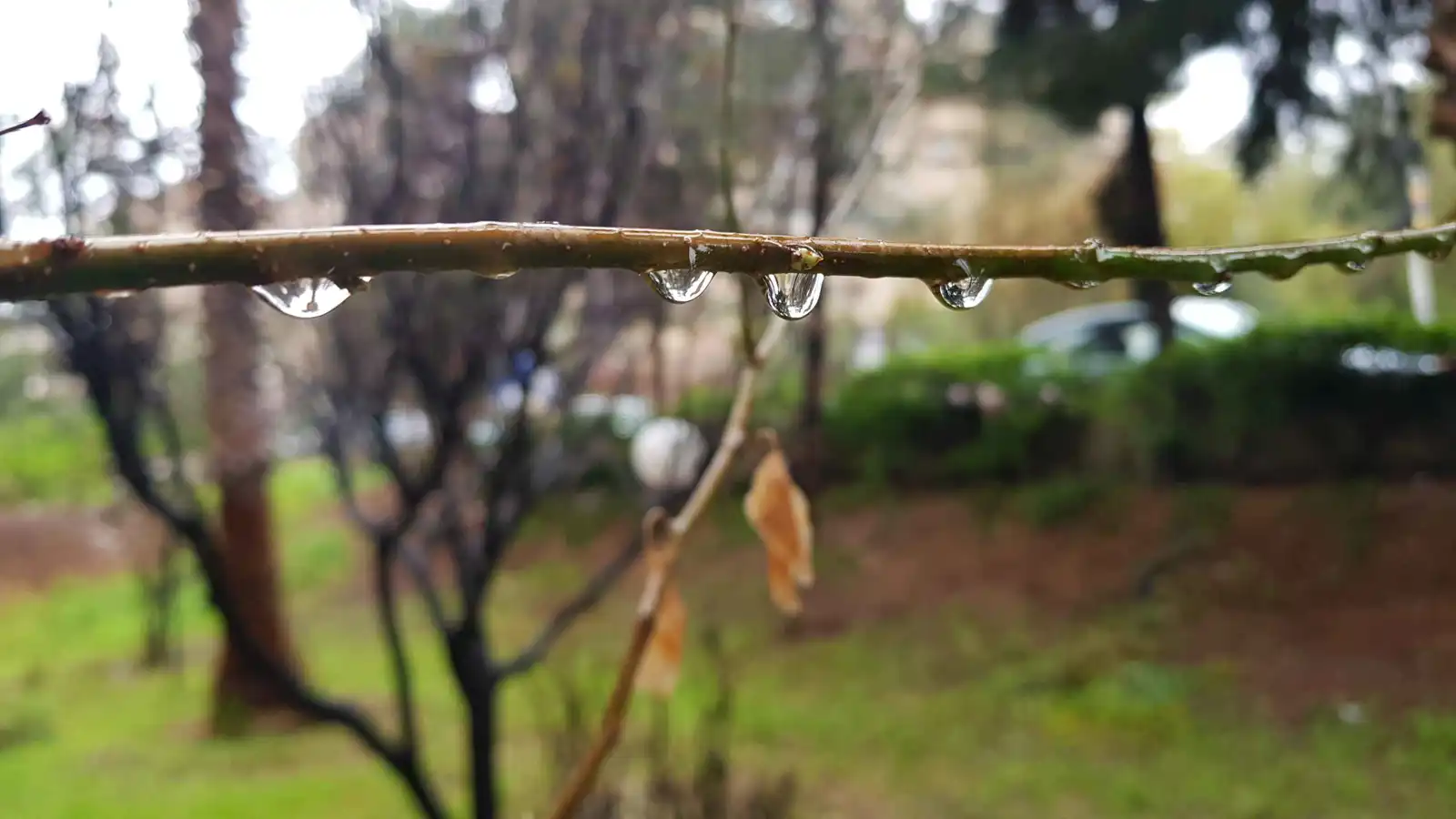 بعد الجفاف المرهق.. بلاد الشام تستعد لعاصفة مطرية