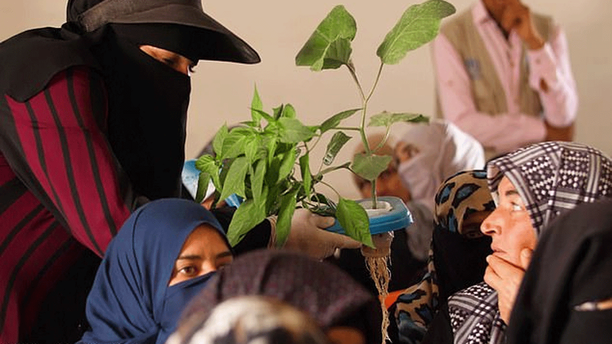 في مخيم للاجئين.. زراعة البيئات الصحراوية باستخدام "المفارش البالية" (صور)