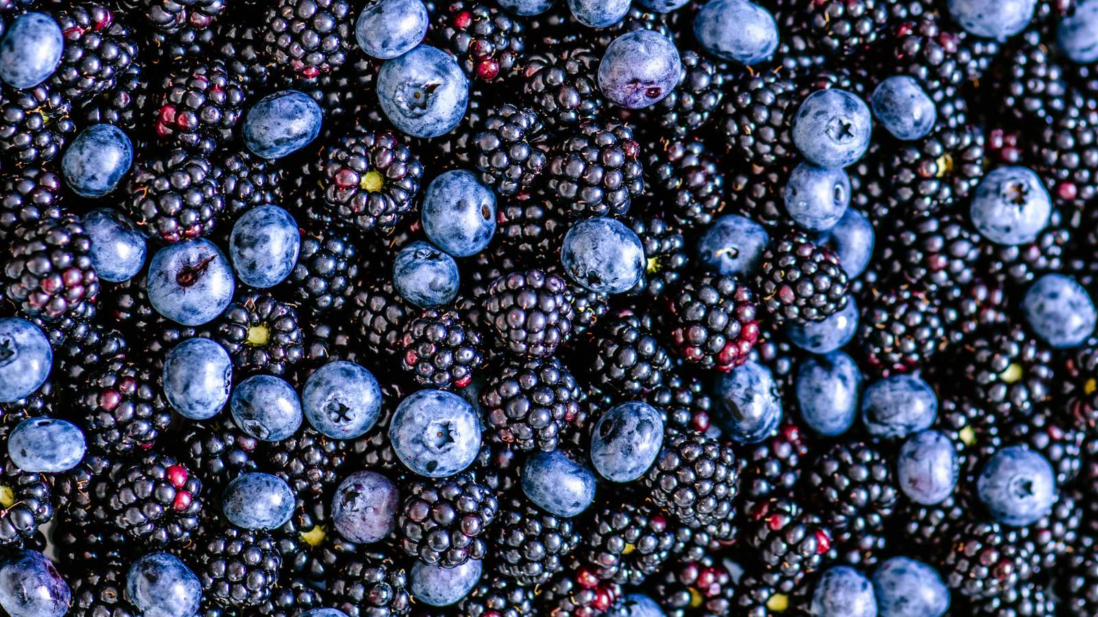 التوت الأسود أم الأزرق.. أيهما الأفضل لصحتك؟