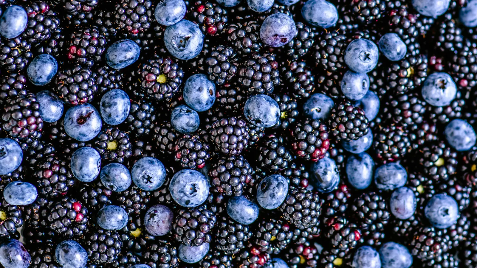 التوت الأسود أم الأزرق.. أيهما الأفضل لصحتك؟