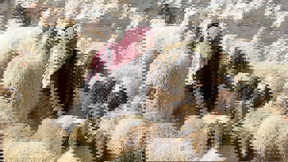 الأردن.. عضو في اللجنة الملكية للإصلاح تثير جدلا واسعا بسبب "شعيرة الأضحية"