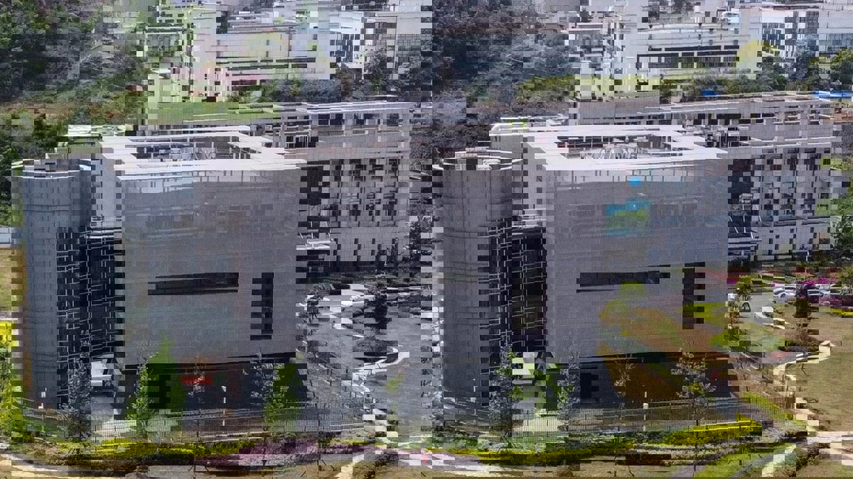 الصين.. "المرأة الخفاش" تكشف تفاصيل جديدة عن أصل فيروس "كورونا"