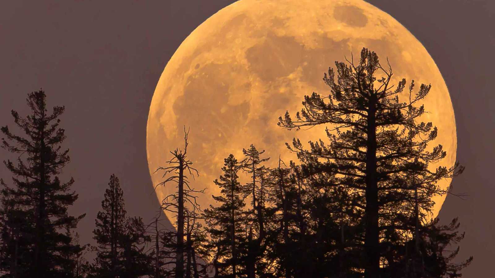 القمر العملاق.. العالم مع ظاهرة فلكية مطلع العام