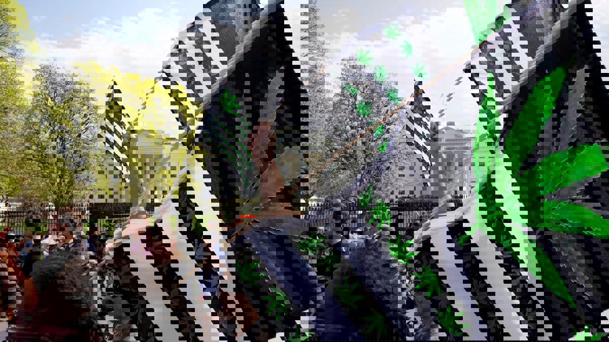 مساع في واشنطن للحد من السطو على متاجر القنب