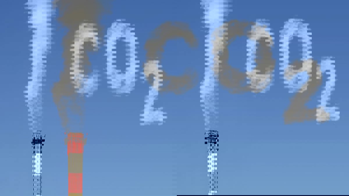 تطوير تقنية لتخليص الهواء من ثاني أكسيد الكربون بنسبة 99%