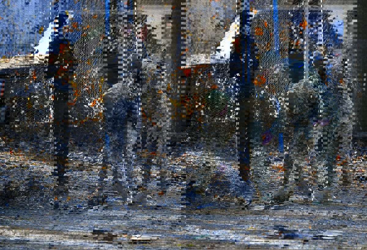 أوكرانيا تعلن تدمير 28 مسيرة روسية 
