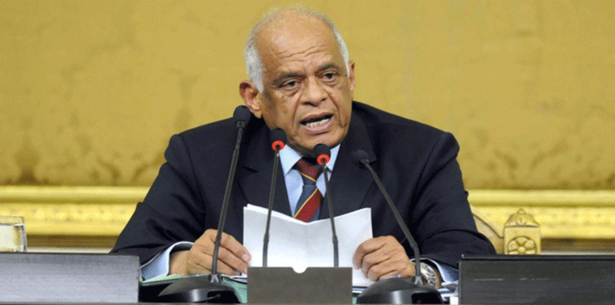 رئيس البرلمان المصري يتحدث عن "مؤامرة" لإسقاط المجلس