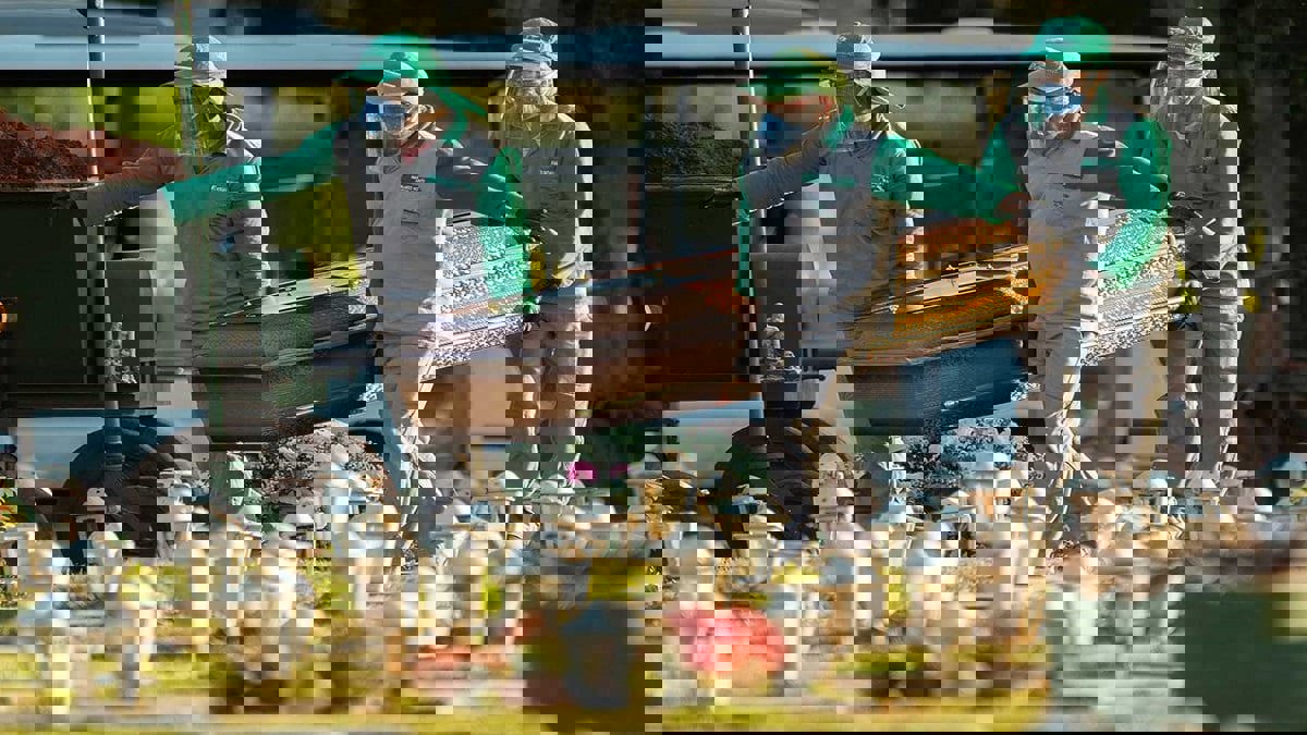 البرازيل تقفز إلى المركز الثاني بعد أمريكا‎  في عدد الإصابات العالمية بكورونا