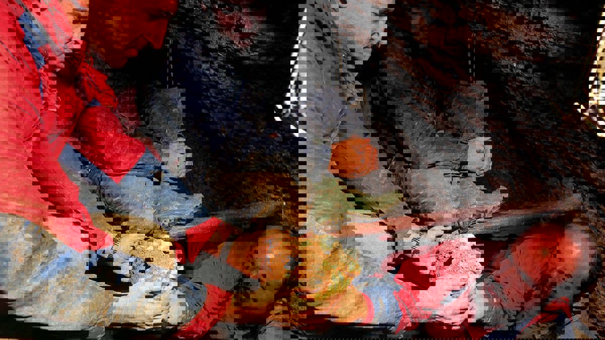 عظمة فك قديمة قد تعطي لمحة عن أول البشر الذين سكنوا أوروبا