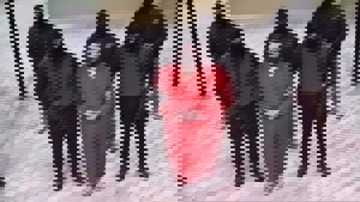 مشاهد حقيقية.. رد فعل هشام عشماوي عقب النطق بحكم إعدامه (فيديو)