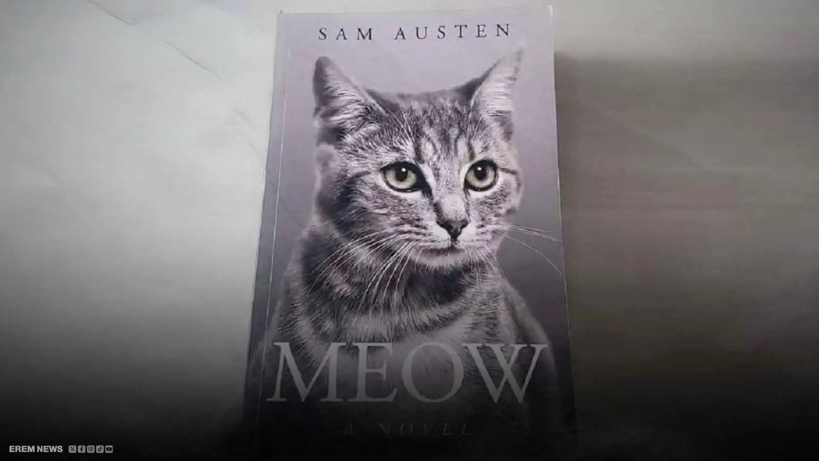 300 صفحة من "مياو".. كتاب القطط الغامض يثير ضجة على الإنترنت