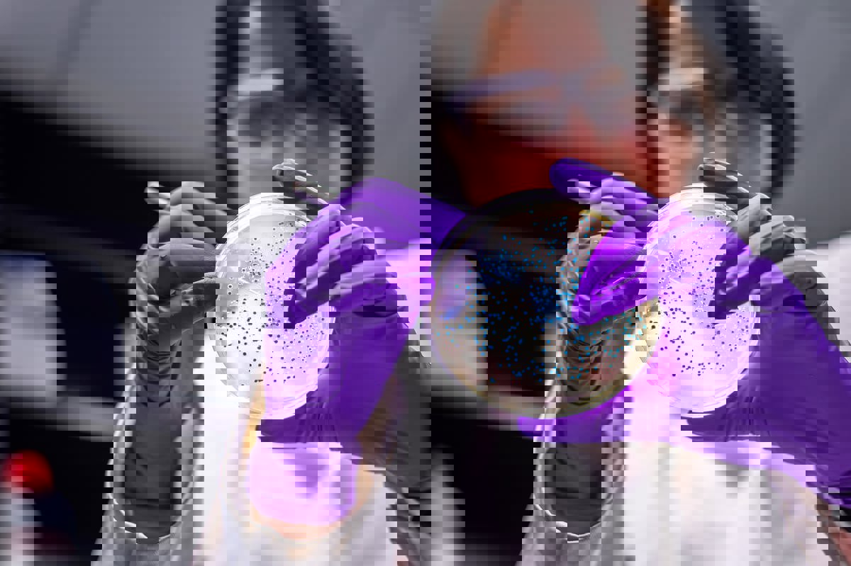 "الجراثيم الخارقة".. الخطر الذي يتربص بالبشرية