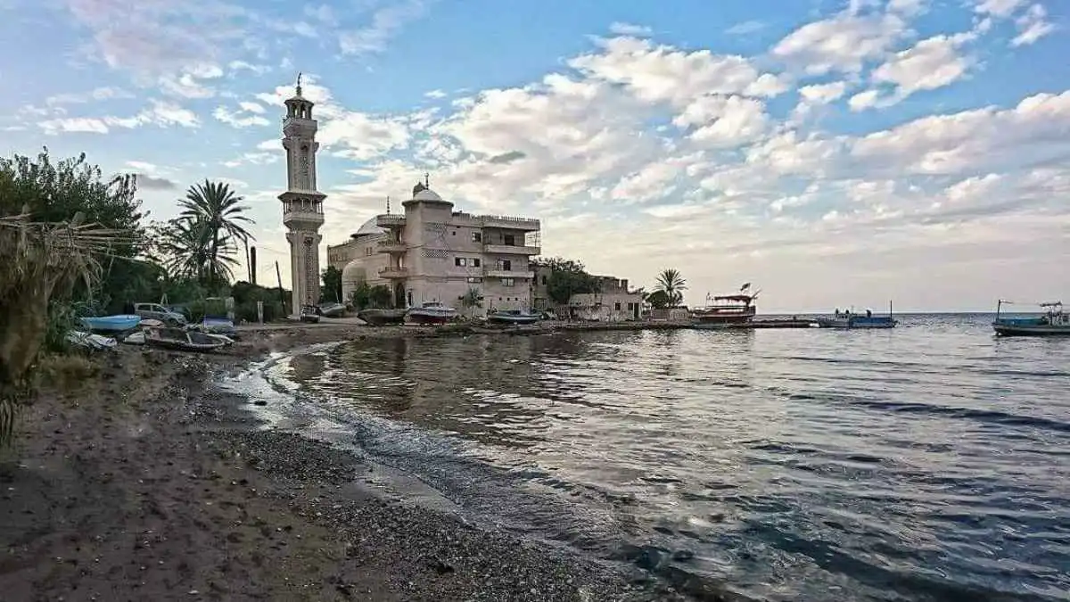 في حضرة البحر والتاريخ.. حكاية مسجد الإمام المسعود ابن هانئ (صور)