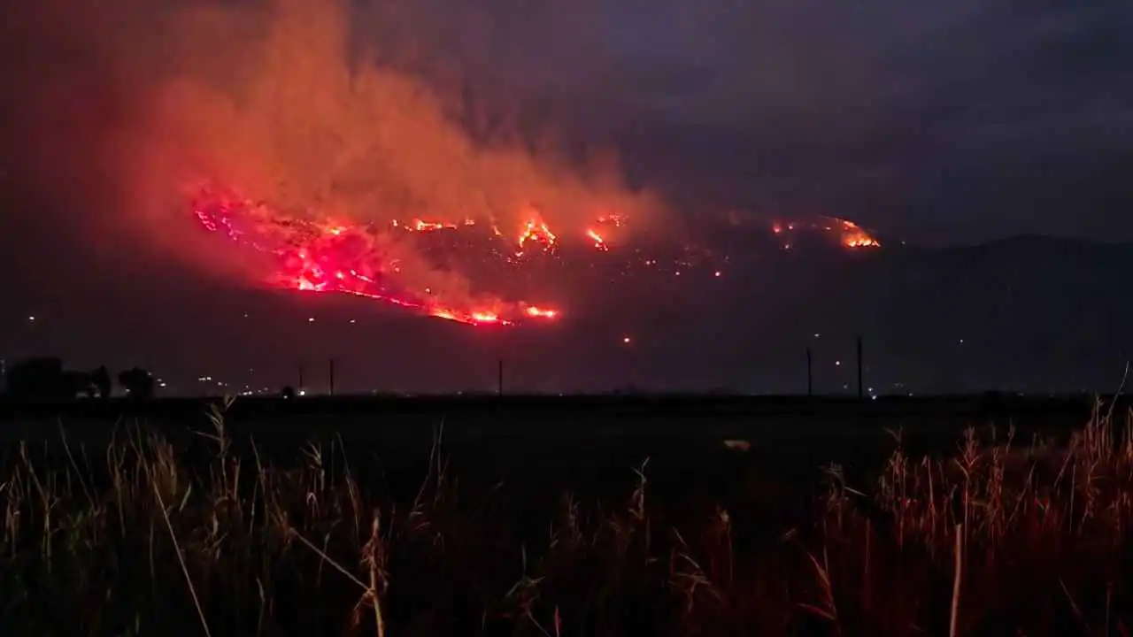 وسط نداءات استغاثة.. الحرائق تتجدد في سوريا (فيديو)