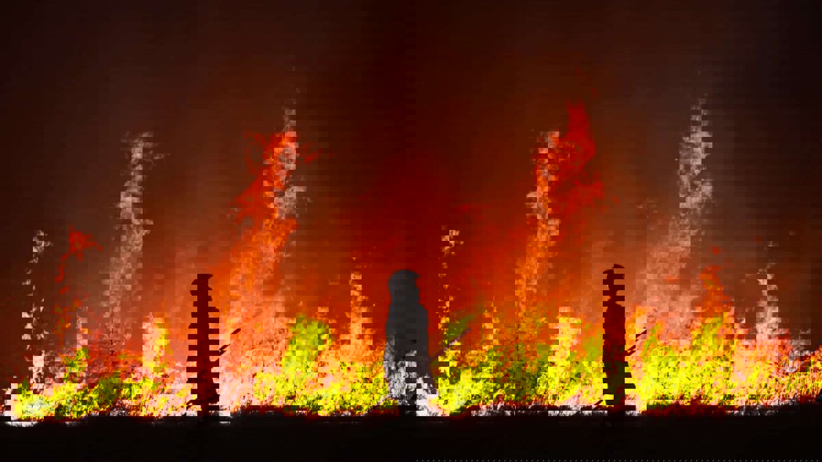 قتل فتاة حرقا يفجر غضبا في الهند