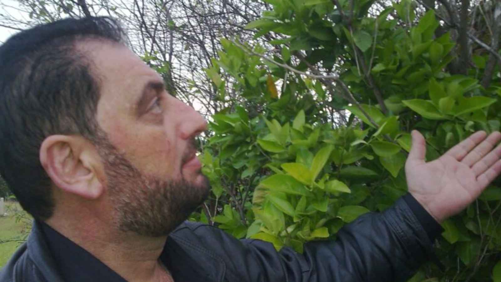 الشاعر الشعبي أحمد شحادة.. يغني بكلماته التراث و"يمضي"