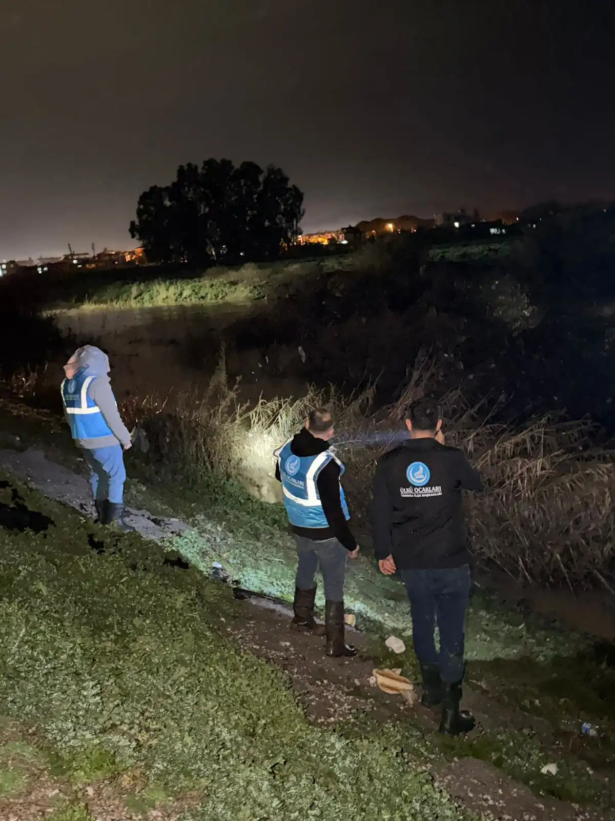 من عمليات البحث على بريفيان