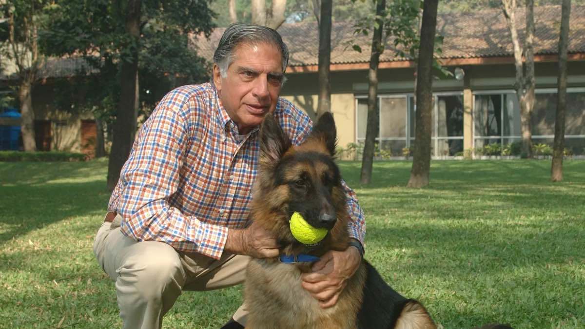 بعد وفاته.. كلب رجل أعمال هندي يحظى بثروته