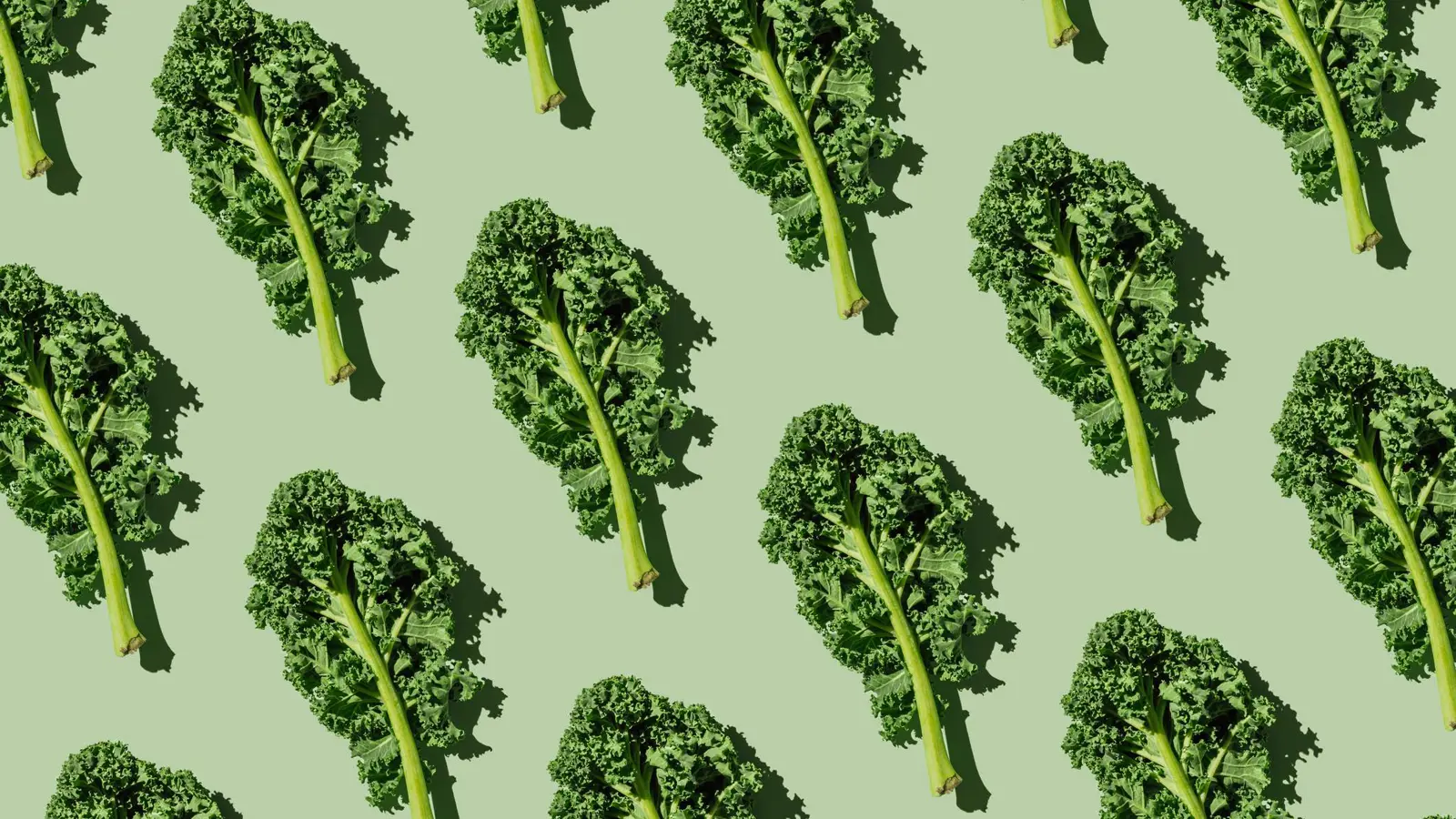 الكرنب أم السبانخ.. أيهما الأفضل لصحتك؟