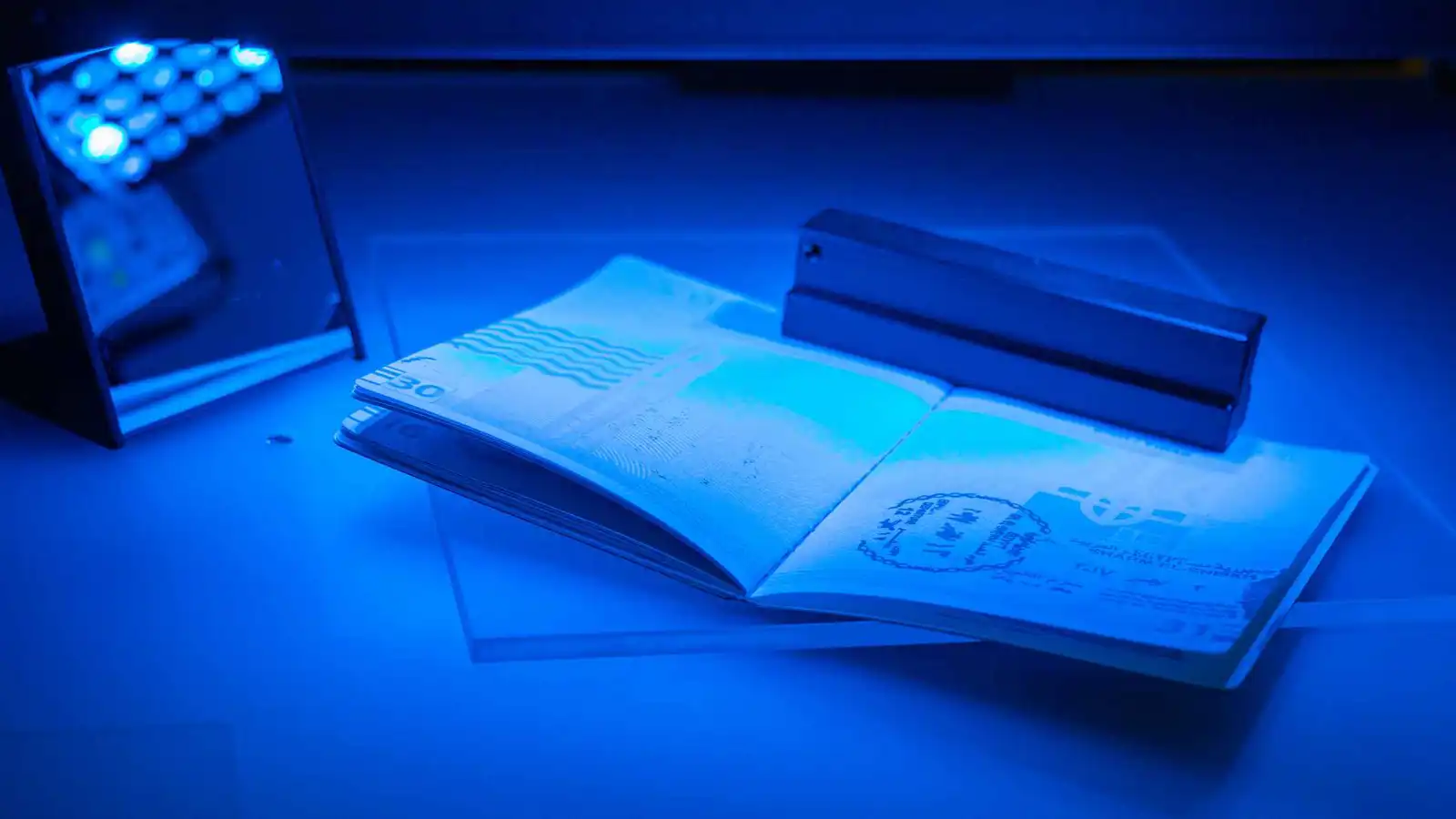 بعد شائعة الفأر.. مديرية الأحوال المدنية ببغداد تنفي توقف الجوازات في أربيل